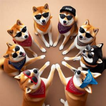 Doge gamg