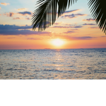 The sunset palace
