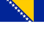 The Bosnian Army,