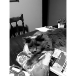 (= Kitty's for life =)