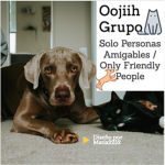 oojiih