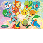 Pokemon nice fan group.
