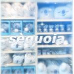 sèquoia