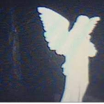 Fallen Angelss
