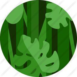 Parkour Adventures: Tropical Forest [MEDIUM]