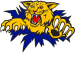 Fort Valley State Wildcats