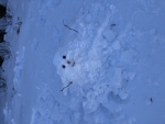 Project: Pusheen
