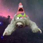 ~~~~~~Sloth Squad~~~~~~