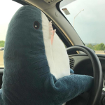 Shark! Studio