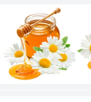Honey(from honey&daisyroblox) official group