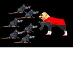 Help Save Roblox From Rats!