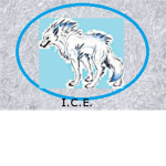I.C.E. battalion