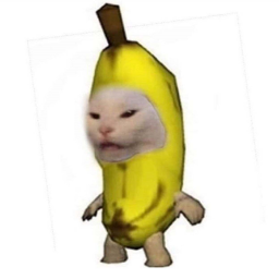Obby with bananacat lol