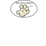 Hand development
