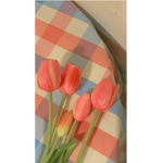 설이 로벅 나눔