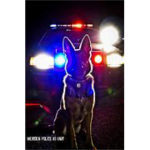 FSRP | K9 Group