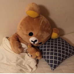 little ʕ　˵·ᴥ·ʔ