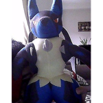 The lucario's