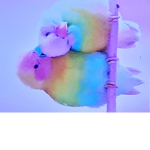 Little brids
