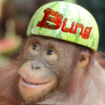 bung
