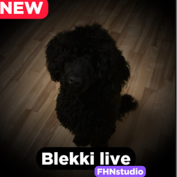 Blekki Live💸