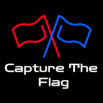 Capture The Flag (dv)