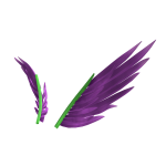 Wings of Guamolia