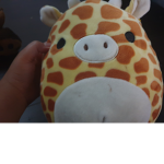 Maya's Giraffes :)
