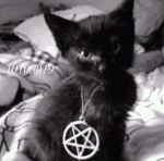 XV†