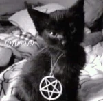 XV† Group Thumbnail