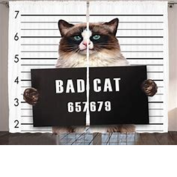 BAD CATS