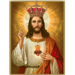 holy bible group
