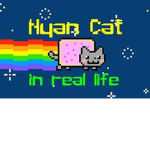 #cat Naiton