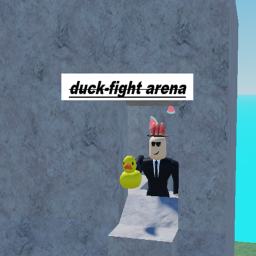 Duck-Fight Arena.