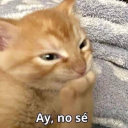 buy