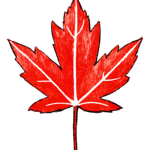 .Leafs '