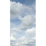 Blue cloud family