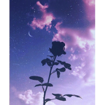 _Aesthetic Moonlight_