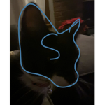 Sammmy the Cat
