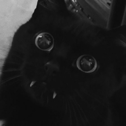 ︻デ═一