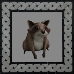 Raccoon Club