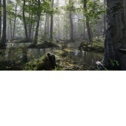 peaceful forest (HD GRAPHICS)