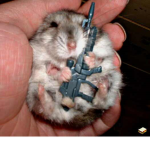 HAMSTER OFFICIAL ARMY