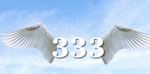 ThisIsNot333