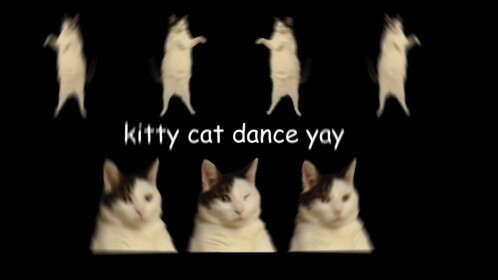 Praise kitty dance