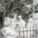 ⋆｡˚୨୧˚｡⋆