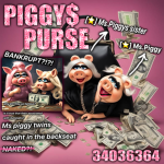 PIGGYS PURSE