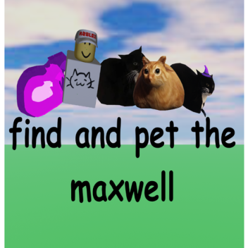 Find and Pet a maxwell (BACK!!)