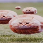 only kids (read description pleaese