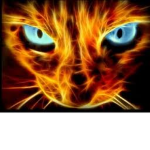 HellfireClan